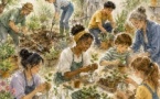Ateliers jardin au 80-82